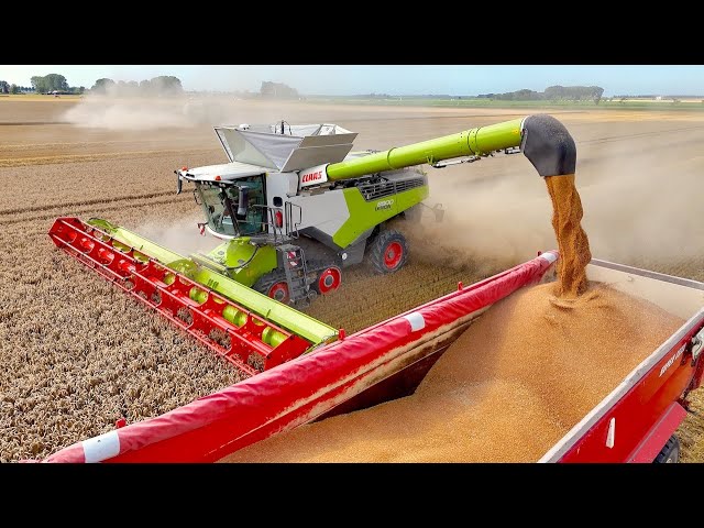 First Day out with the NEW Combine | Claas Lexion 8900 vs 780 | Seed Wheat Harvest '24 - KMWP Farms