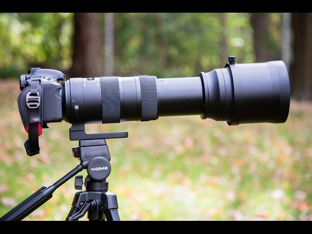 Sigma 150-600mm Sport Lens REVIEW and HANDS ON