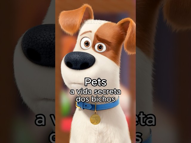 Você percebeu que no filme Pets a Vida Secreta dos Bichos