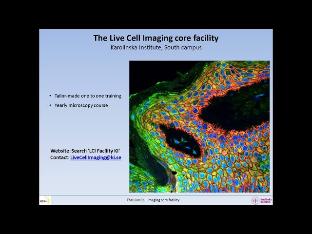 2022 LCI facility virtual tour