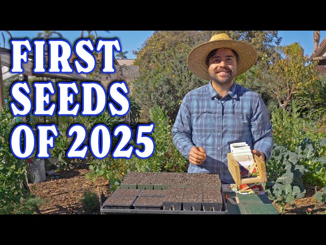 Starting The First Seeds Of My 2025 Garden Season!