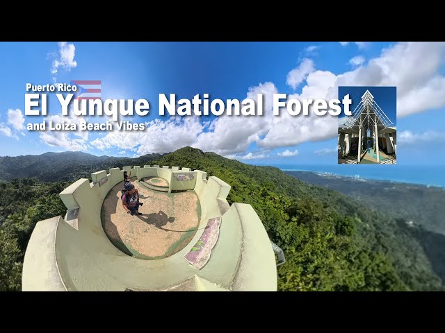 Puerto Rico: El Yunque National Forest and Loiza Beach Vibes