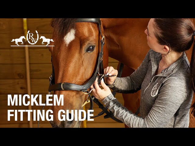 How to Fit a Horseware Micklem Bridle