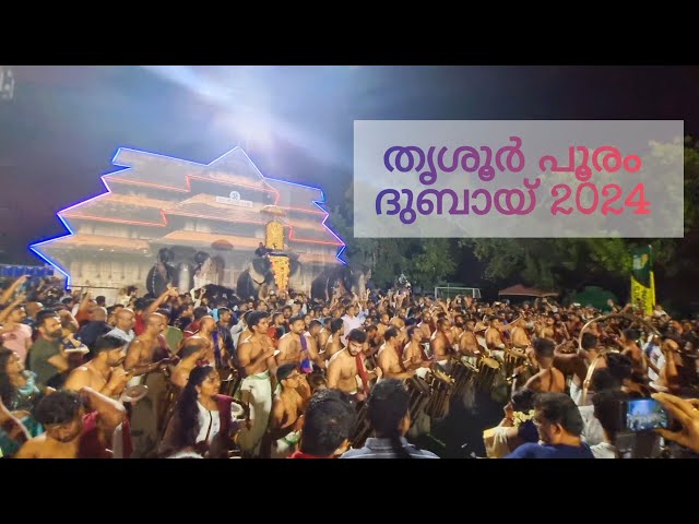 Pancharimelam - MMDE Thrissur Pooram Dubai 2024 #pancharimelam  #thrissurpooram