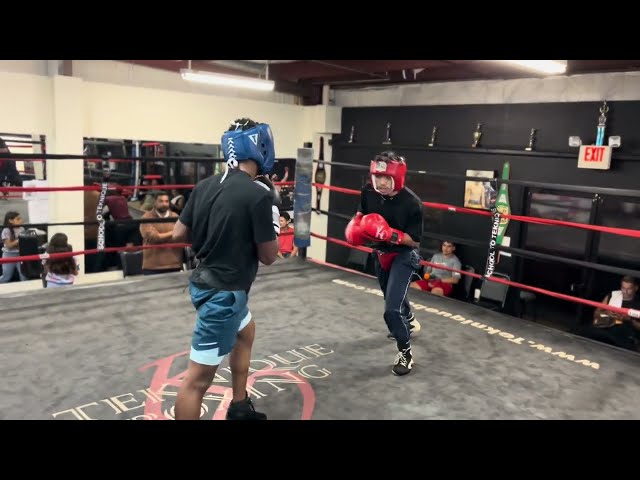 Getting TECHNICAL with a young boxer!