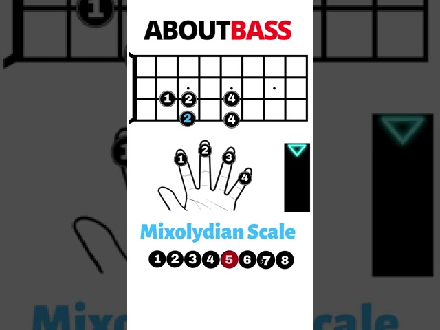 Learning the Mixolydian Bass Scale #Short