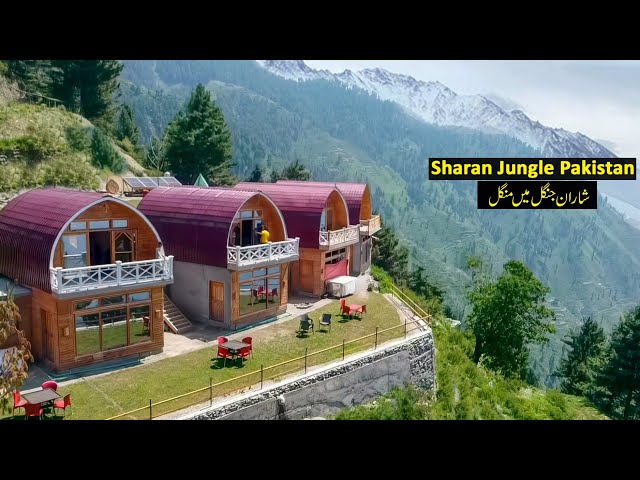 Sharan Jungle Track | Naran Kaghan Trip