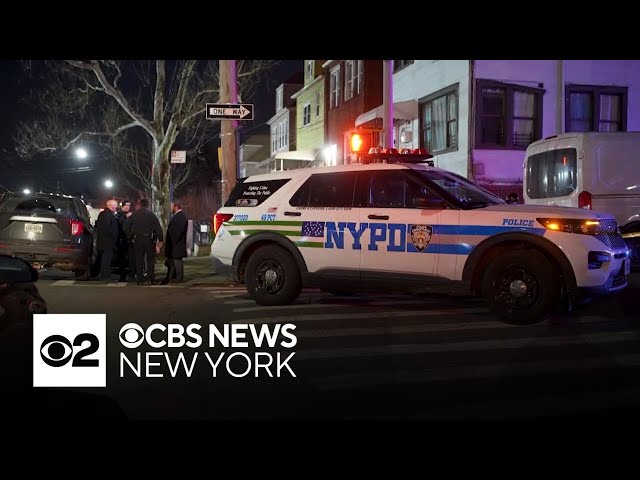 Man fatally shot in the Bronx