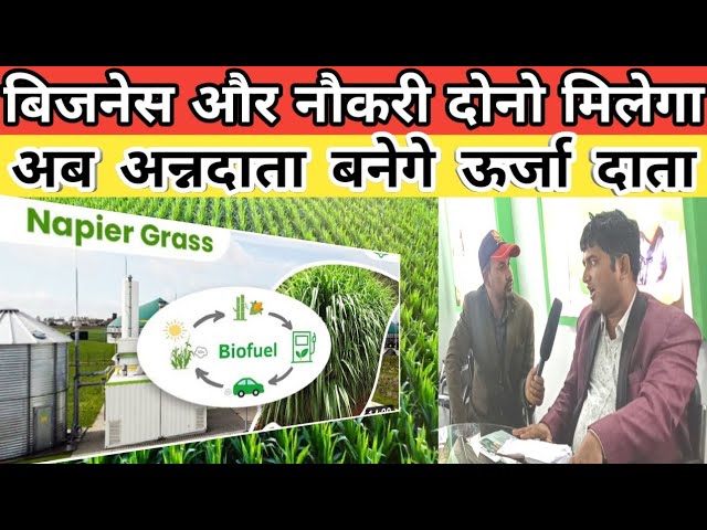 मौके का फायदा उठा लो वरना पछताना पड़ेगा | How to start Biofuel CNG and coal production unit India |