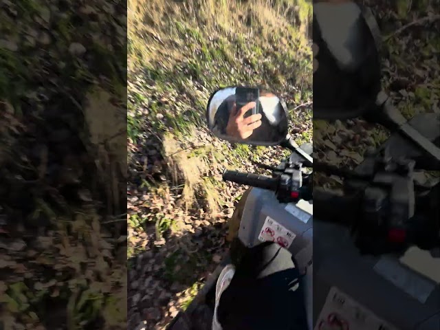 Pazar Gezmesi ile Atv Arasında Çılgın Mücadele!