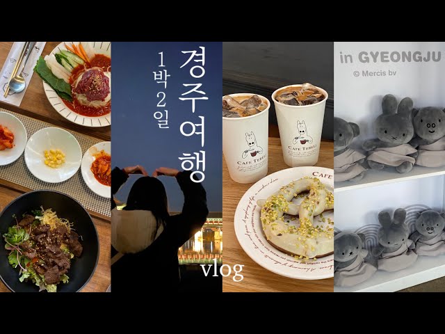 경주여행 브이로그 | 경주 5번 간 사람의 추천코스🐴 핫플.맛집.카페.숙소.소품샵 편집샵 투어.황리단길.미피스토어.월정교 야경 | 1박2일 뚜벅이 Gyeongju vlog