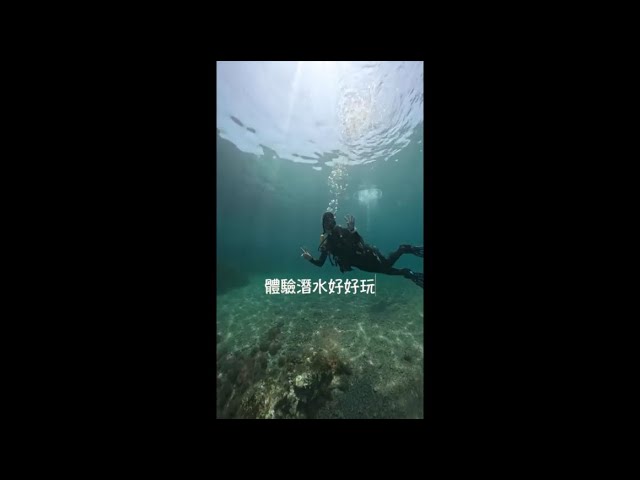 嶼海相干體驗潛水介紹