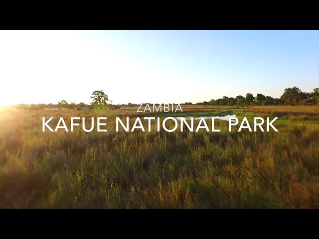 Breathtaking Kafue National Park in Zambia