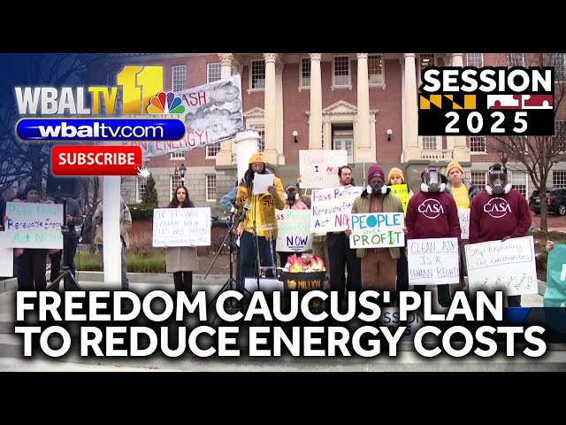 Freedom Caucus' plan to reduce energy costs