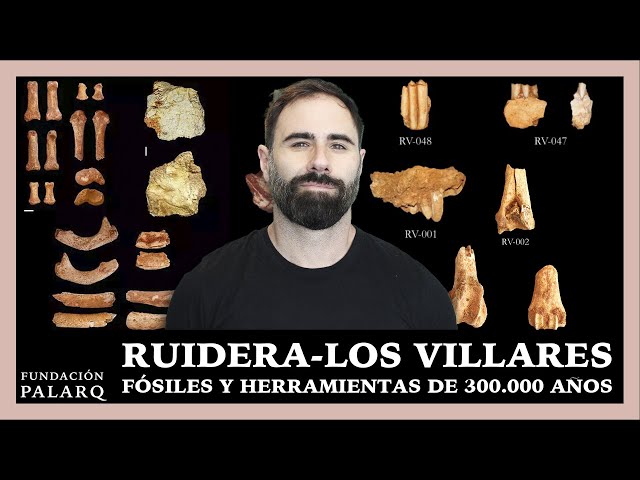 ¡Descubiertos 500 Fósiles y Herramientas Humanas de 300.000 Años en Ruidera-Los Villares!