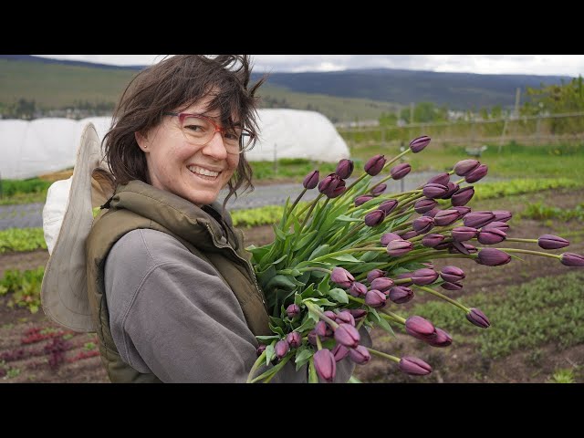 This Flower Farmer Is A Sell Out