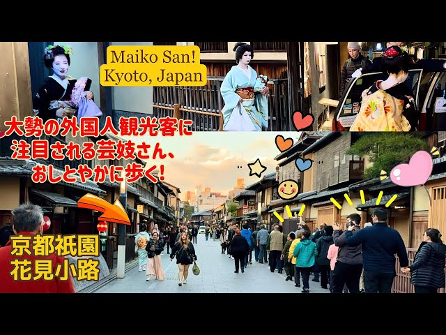 A geisha who attracts the attention of many foreign tourists walks in Gion, Kyoto, Japan.