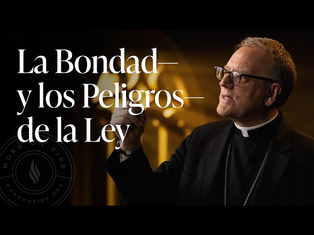 La Bondad—y los Peligros—de la Ley - Sermón del Domingo del obispo Robert Barron