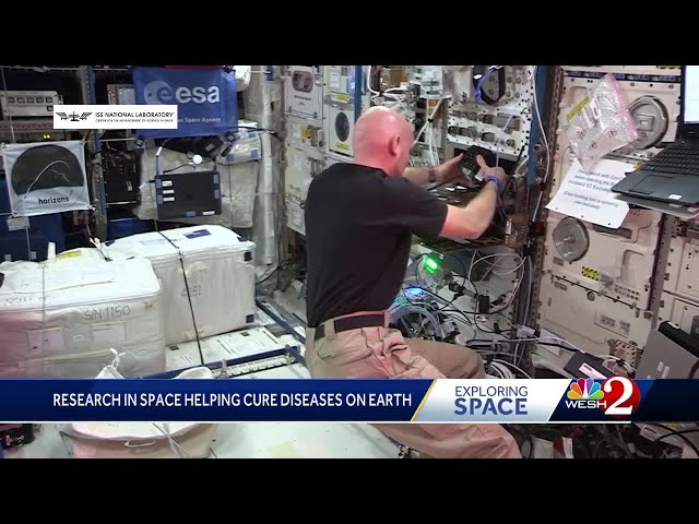 Space research could hold promise for cancer cures