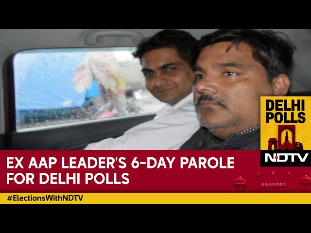 Delhi Elections | Out At 6 AM, Back At 6 PM: Ex AAP Leader's 6-Day Parole For Delhi Polls