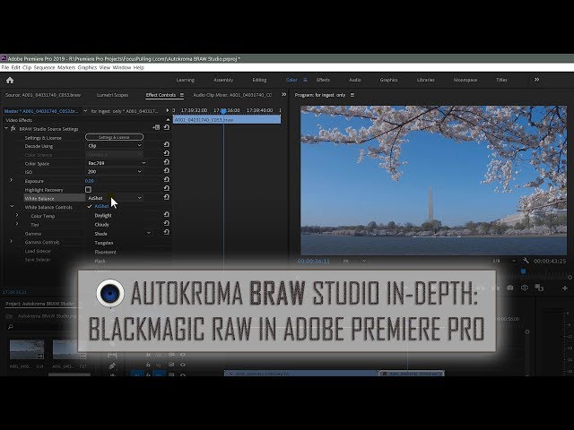 BRAW Studio In-Depth: Using Blackmagic RAW in Adobe Premiere Pro