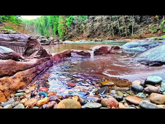 Crystal River Serenity, Birdsong & Flowing Water for Deep Sleep 4K UHD (3 Hrs)