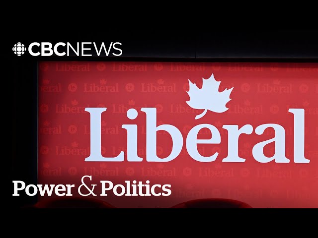 Will the next Liberal leader call an early election? | Power & Politics