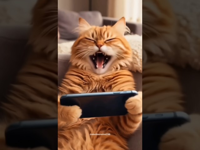 Viral Cat's videos #fun #funny #trending #comedy #youtubeshorts #cat #tiktok #youtube