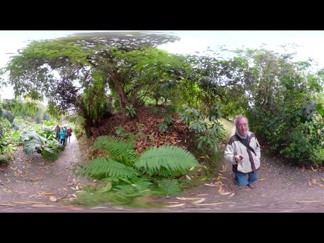 360 Trebah Gardens November 2018