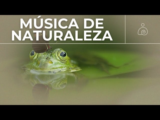 🌿Música Ambiental 2024 / Libera El Estrés Y la Ansiedad /🌿