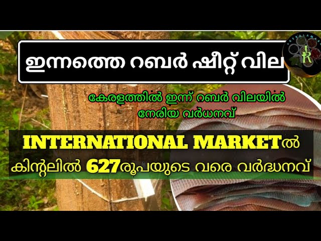 കേരളത്തിൽ ഇന്ന് റബ്ബർ വില ഉയർന്നു | Today Kerala Rubber Price