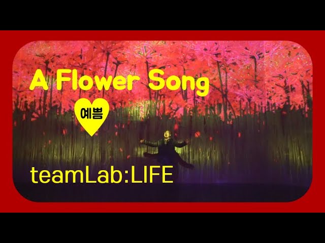 Japan teamLab: LIFE + Korean traditional song performance, flower song