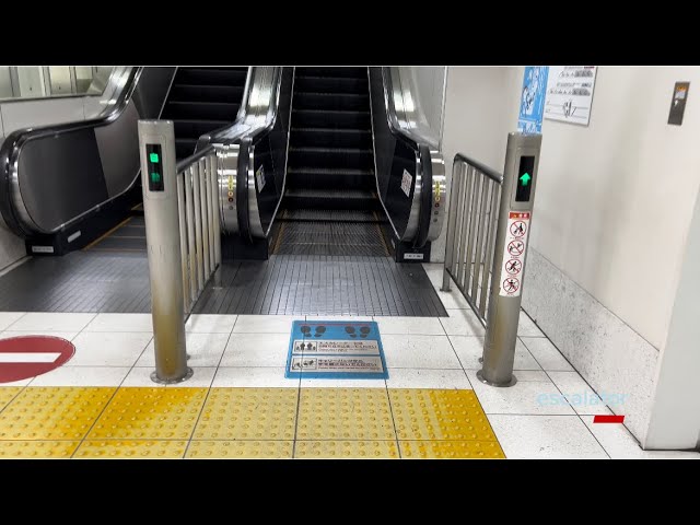 【escalator】JAPAN  Kagoshima Chuo Station  MITSUBISHI escalator