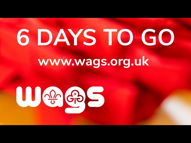 International Mother Language Day | 6 Days To Go until WAGS GANG SHOW 2024