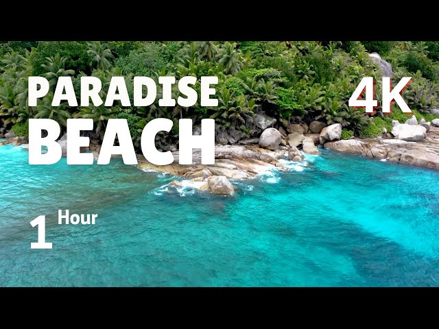 The Perfect Paradise Beach Scene in 4K White Sand, Blue Water & Waves