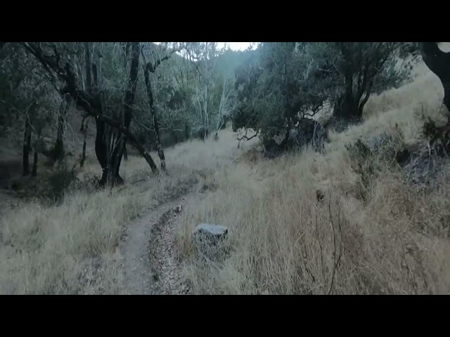 Stereoscopic Hike Short