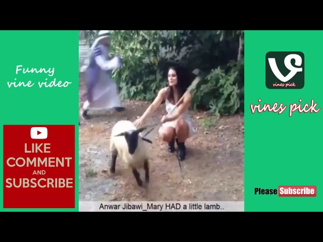 Best ultimate funny vine compilation 2017 - Try Not To Laugh Challenge (Part 3)