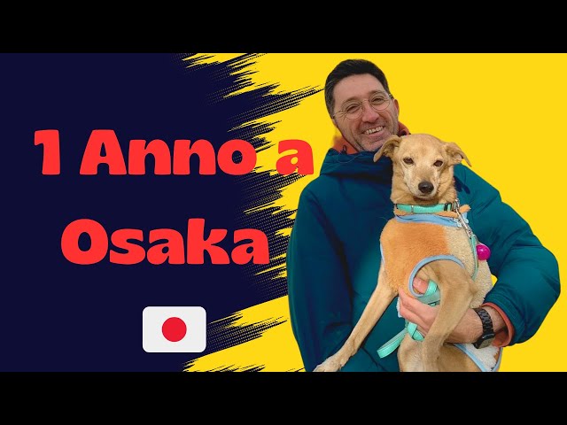 1 Anno a Osaka con il mio cane Vesta 🐶 | Vita, Cibo e Avventure in Giappone 🇯🇵 #lifeinjapan