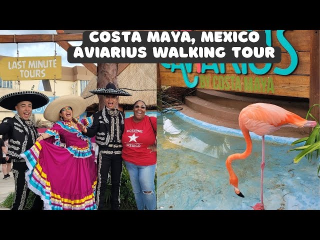 Costa Maya Aviarius (Aviary Bird) Walking Tour | Sole Female Traveler | Where is Tiffany