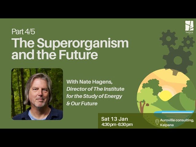 Nate Hagens - The Superorganism and the Future - Part 4/5