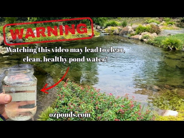 7 things you can do to supercharge your ponds filtration