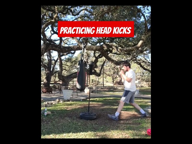 Head kick drill #mma #fighter