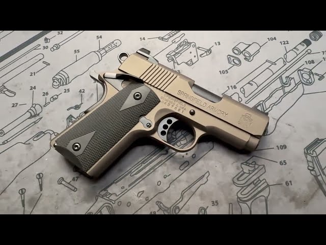 Springfield Micro Compact Custom