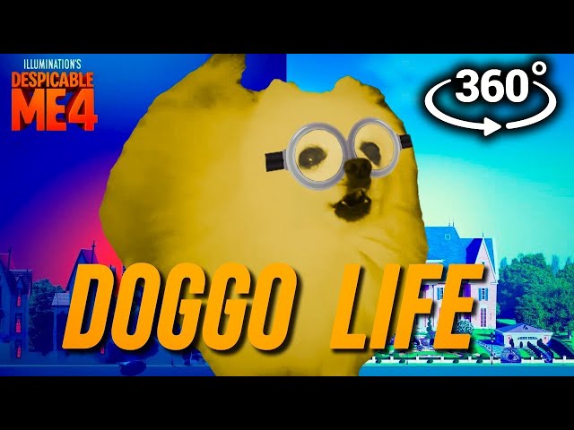 360° VR DOGGO LIFE - Despicable Me 4 Double Life