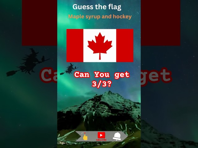 Can You Guess the Flag in 10 Seconds? 🌍 FlagQuiz | Geography      #Quiz #shorts  #flag