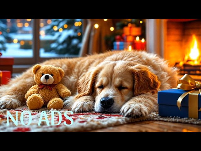 3 hours of Relaxing Music for Puppies 🐕🎶 Soothing Therapy for Dog Anxiety & Better Sleep