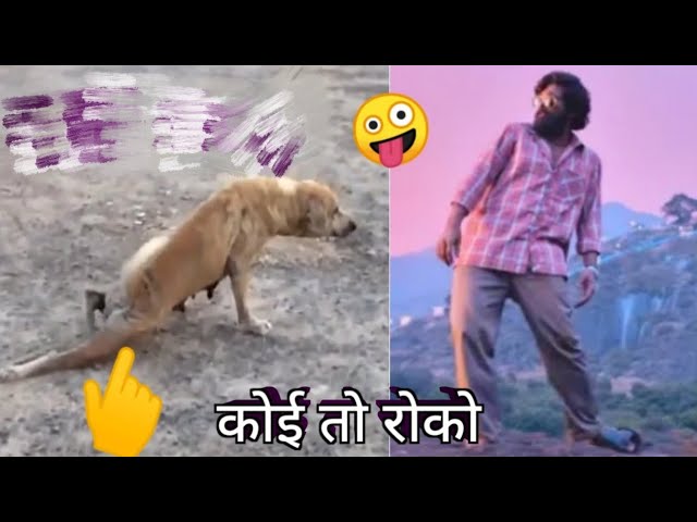 पुष्पा राज Comedy Video|Pushpa Raj Dialogue New Comedy video #tapatap #rsdesivlog