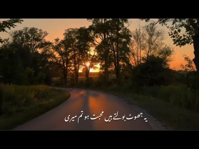 Ye Jhoot Bolte Huwe Logon Ki Khair Ho 🥀| Hamza Hassam Poetry | Wonderful Urdu lines poetry |