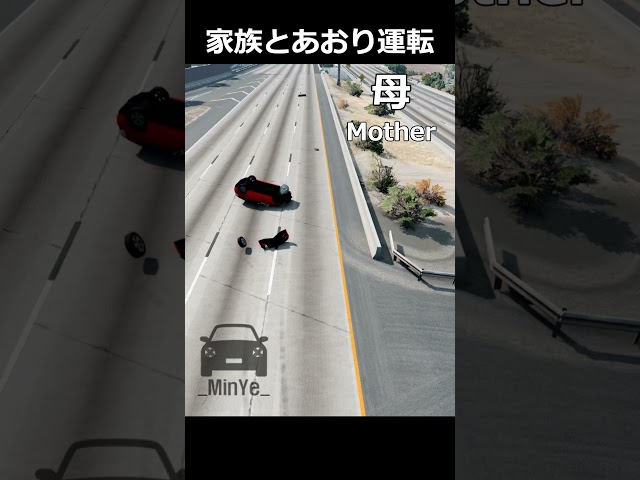 家族とあおり運転 / Family and road rage