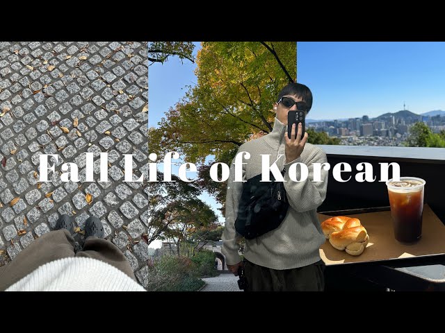 I'll show you Korea's beautiful autumn and daily life in Seoul 🍂